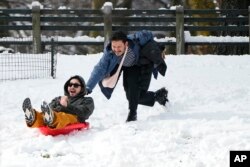 People use their snow sled in New York's Central Park, Feb. 13, 2024.