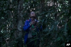 American Biological Anthropologist Karen Strier observes northern muriqui monkeys at the Feliciano Miguel Abdala Private Natural Heritage Reserve, in Caratinga, Minas Gerais state, Brazil, Wednesday, June 14, 2023. Strier started studying the northern muriqui monkeys 40 years ago when there were just 50 of the endangered animals left in this swath of wilderness. (AP Photo/Bruna Prado)