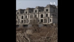 中国烂尾楼无人问津 牛羊入住