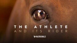 Preview: The Athlete and its Rider