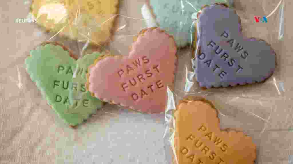 Galletas con forma de corazón entregadas durante el evento &ldquo;FURst date&rdquo; de la Sociedad Filipina de Bienestar Animal, en Filipinas. [Reuters]