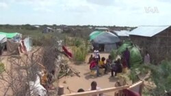  Somali Refugees in Kenya Struggle with Aid Food Cuts
