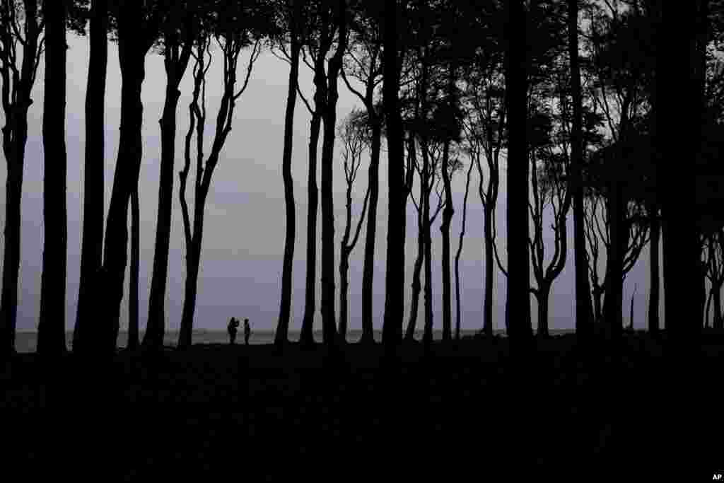 People take pictures at the &#39;Gespensterwald&#39; (Ghost forest) at the Baltic Sea in Nienhagen, Germany.