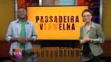 Passadeira Vermelha #172: O amapiano de Zeze Kingston