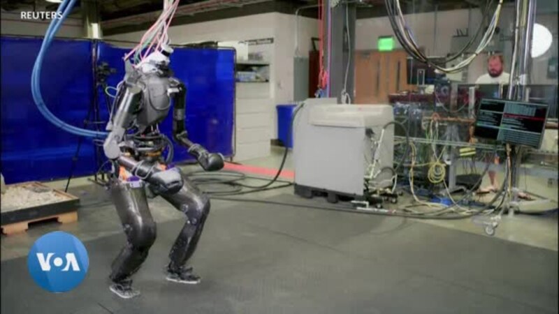 Technologie : un robot sur le ring de boxe