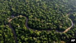 FILE - Rainforest lines the Combu Creek near Belem, Brazil, on Aug. 6, 2023. 