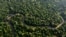 FILE - Rainforest lines the Combu Creek near Belem, Brazil, on Aug. 6, 2023. 
