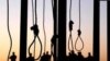 ایران دوه 'افغانان' په عام محضر کې اعدام کړل 