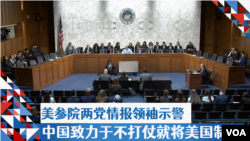 美参院两党情报领袖示警 中国致力于不打仗制伏美国