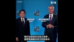 北约秘书长在北约峰会期间会晤日本、韩国领导人
