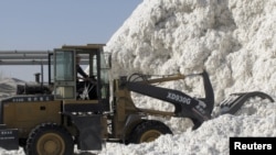 资料照片：一名工人在新疆阿克苏棉花加工厂用铲车堆放刚刚收获的棉花。（2015年12月1日）