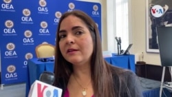 Tamara Suju, directora ejecutiva del Instituto CASLA, habla con la VOA sobre los casos de tortura de presos políticos en Venezuela