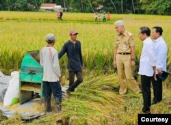 Presiden Jokowi didampingi Gubernur Jateng Ganjar Pranowo dan Menhan Prabowo Subianto meninjau musim panen raya padi di Kebumen, Jawa Tengah, Kamis (9/3).(Biro Setpres)