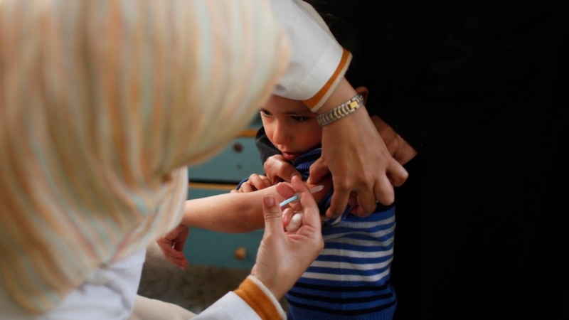 WHO says polio vaccine campaign hurt by lack of Gaza cease-fire 