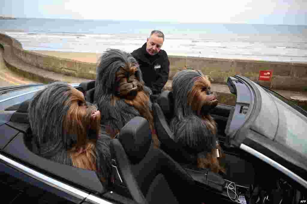 A prop-maker loads the upper-bodies of his full-size Wookiee models into his convertible car having displayed them at Sci Fi Scarborough at The Spa Complex in Scarborough in north-east England.