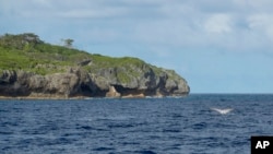 FILE - A tail of a humpback whale breaks the water in Niue in this 2018 photo. The tiny Pacific island nation of Niue has come up with a novel plan to protect its vast and pristine territorial waters — it will get sponsors to pay.