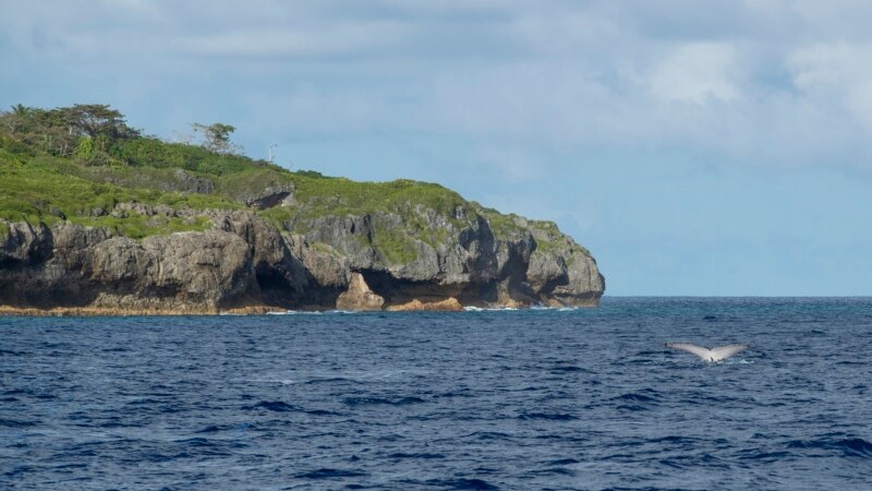 Sponsor an Ocean? Tiny Island Nation of Niue Has Novel Plan to Protect Pacific ...