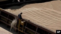 FILE - An employee of the Romanian grain handling operator Comvex oversees the unloading of Ukrainian cereals from a barge in the Black Sea port of Constanta, Romania, on June 21, 2022.