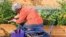This image provided by Gardener’s Supply Company shows a woman gardening in a raised bed while seated on a Deluxe Tractor Scoot. (Gardeners.com via AP)