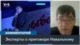 Мнения экспертов о приговоре Алексею Навальному 