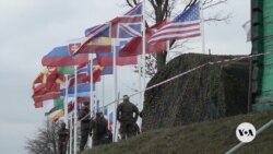 New NATO member Sweden hosts alliance military exercise 