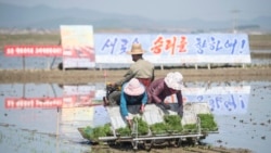 유엔 안보리, 벨기에 기업 '대북 지원자금 송금' 제재 면제 승인