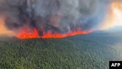 2023年6月8日，不列颠哥伦比亚省野火服务中心一段视频的静止图像显示了位于加拿大不倒翁岭以东10公里处的西基斯卡蒂诺河森林大火的鸟瞰图。 
