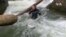 Nature | Fishing for Salmon