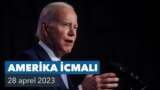 Amerika İcmali
