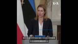 爱沙尼亚总理：中国应澄清驻法大使言论