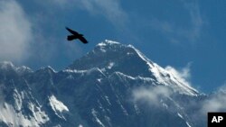 FILE - Seekor burung terbang dengan latar belakang Gunung Everest, terlihat dari Namche Bajar, distrik Solukhumbu, Nepal, 27 Mei 2019. Cheruiyot Kirui, pendaki asal Kenya, ditemukan tewas di dekat puncak gunung tertinggi di dunia.(AP/Niranjan Shrestha)