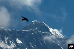 Seekor burung terbang dengan latar belakang Gunung Everest, terlihat dari Namche Bajar, distrik Solukhumbu, Nepal. (Foto: AP)