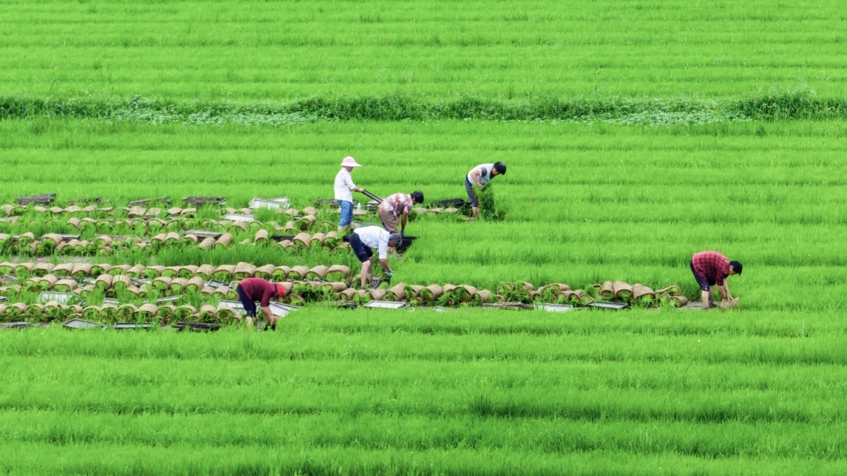 江苏省粮食集团有限责任公司董事长涉嫌违纪接受调查