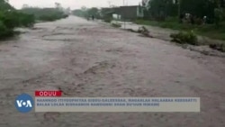 Giddu-galeessa Itiyoophiyaa, Magaalaa Haalaabaa Keessatti Namoonni 5 Loolaa Bishaaniin Du’an