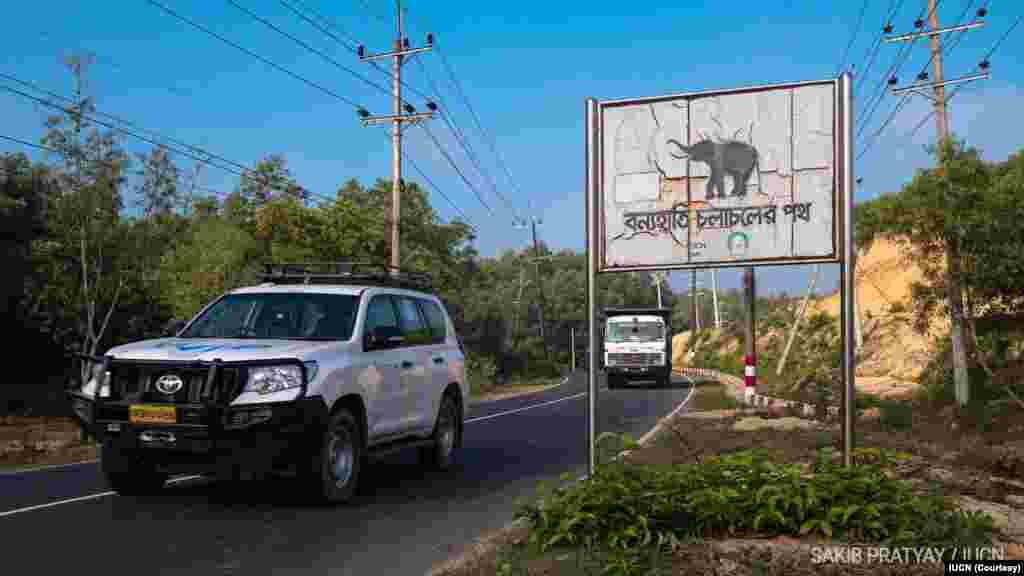 'বন্যহাতি চলাচলের পথ' লেখা একটি সাইনের পাশ দিয়ে গাড়ি যাচ্ছে টেকনাফ হাইওয়েতে। 
