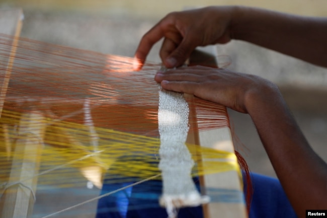 Raydel Guirola weaves a silk cloth at a farm in Matanzas, Cuba, May 16, 2024. (REUTERS/Yander Zamora)