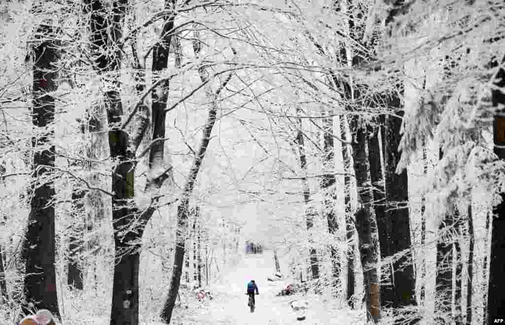 Човек вози велосипед низ снежната шума на планината Кенигштул во Хајделберг, Германија.