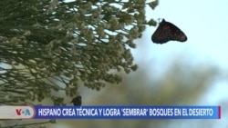 Hispano crea técnica y logra ‘sembrar’ bosques en el desierto 