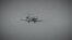Nature | Plane Watch