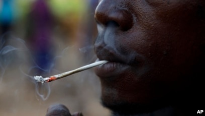 Report: Highly potent opioids now show up in drug users in Africa