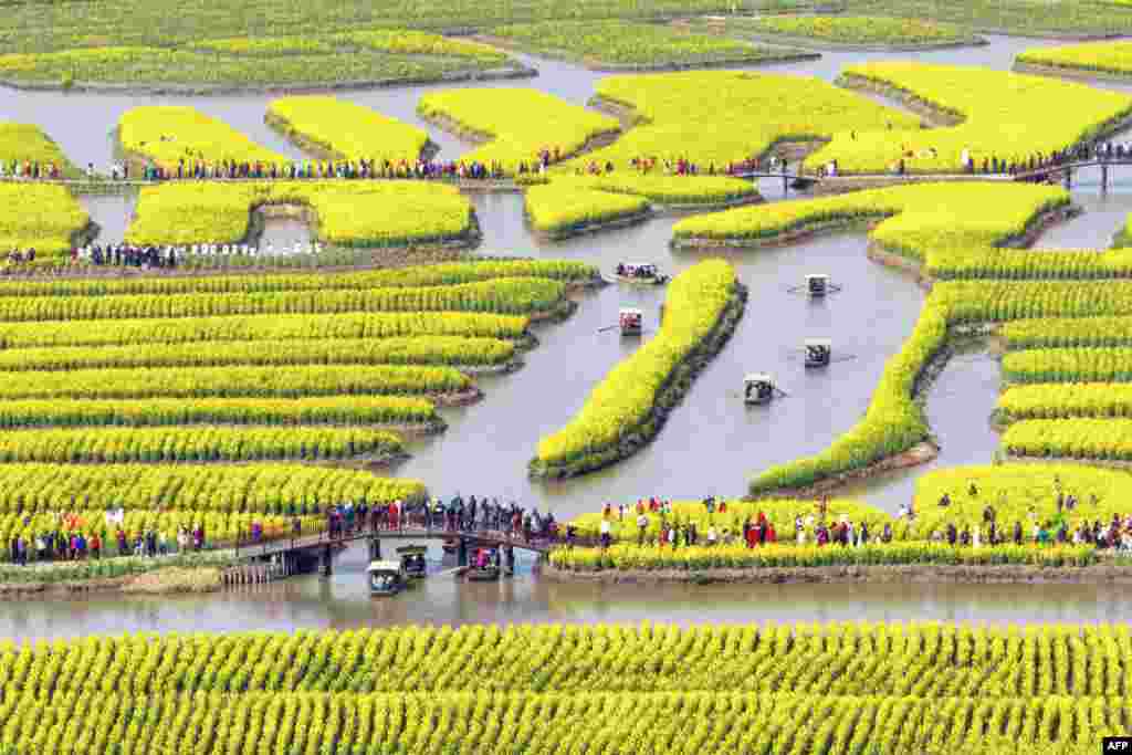 People look at blossoming rapeseed flowers at Xinghua Qianduo scenic area in Taizhou, in China&#39;s eastern Jiangsu province, March 19, 2023.