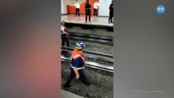 Meksiko City metrosuna tavuk engeli 