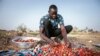 Unexpected strawberry crop spins Burkina's 'red gold' 