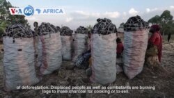 VOA60 Africa - UN warns of unprecedented levels of deforestation in DR Congo's North Kivu province