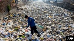 A waste picker scouts for recyclable junk from a sewage drain used as a garbage dump at a slum area in Lahore, Pakistan.