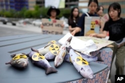 Sejumlah boneka ikan diletakkan saat aktivis lingkungan demo di Seoul, Korea Selatan, memprotes keputusan pemerintah Jepang melepaskan air limbah radioaktif yang sudah diproses dari PLTN Fukushima yang sudah rusak, Kamis, 24 Agustus 2023. (Foto: Lee Jin-man/AP Photo)