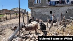 Geçen ayki yangınlarda bini aşkın küçükbaş hayvan da telef olmuştu.