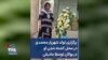 برگزاری تولد شهریار محمدی در محل کشته شدن او در بوکان توسط مادرش