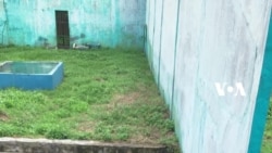 Tiga Harimau Mati di Medan Zoo dalam Waktu 2 Bulan