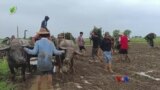 မိုခါကြောင့် ရိတ်သိမ်းခါနီးသီးနှံ ပျက်စီး “လယ်ယာစီးပွားသတင်းများ” 